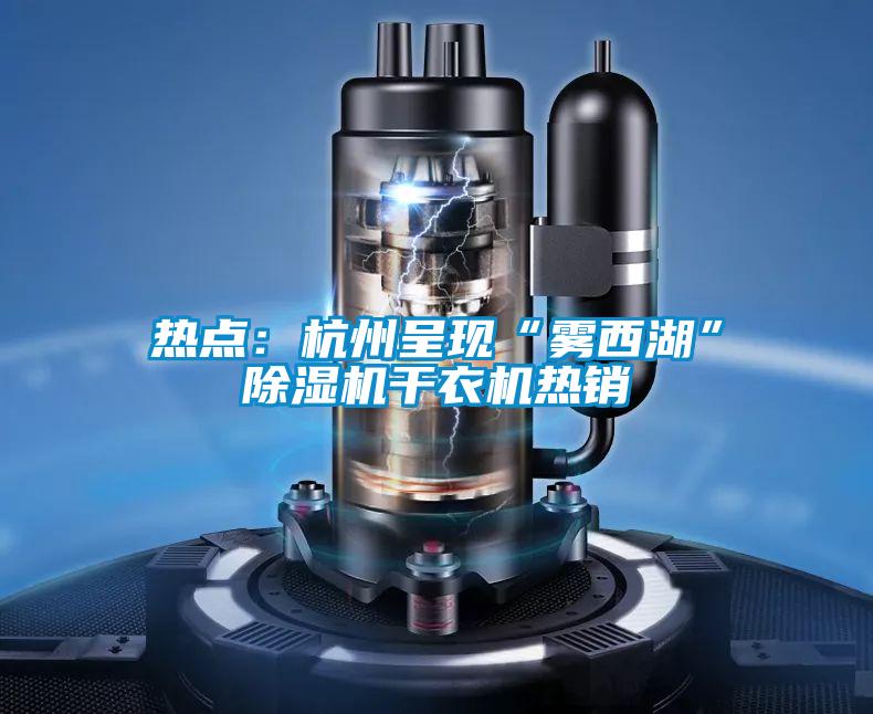 熱點：杭州呈現(xiàn)“霧西湖”除濕機(jī)干衣機(jī)熱銷