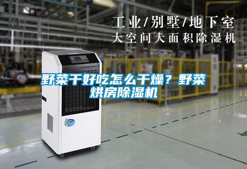 野菜干好吃怎么干燥？野菜烘房除濕機