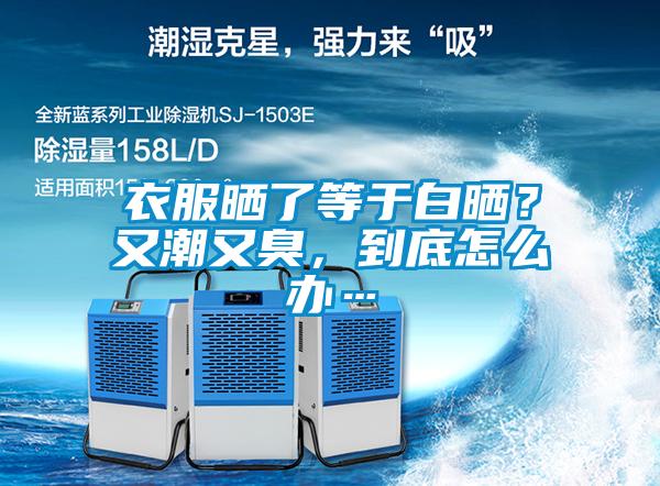 衣服曬了等于白曬？又潮又臭，到底怎么辦…