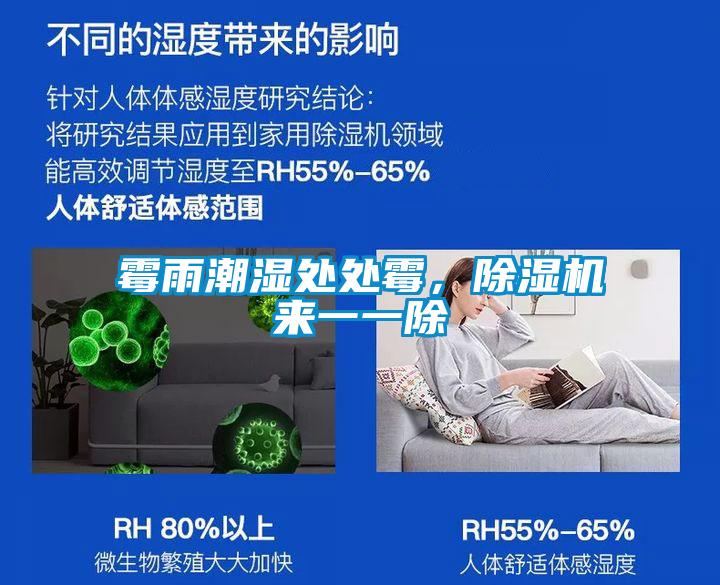 霉雨潮濕處處霉，除濕機(jī)來一一除