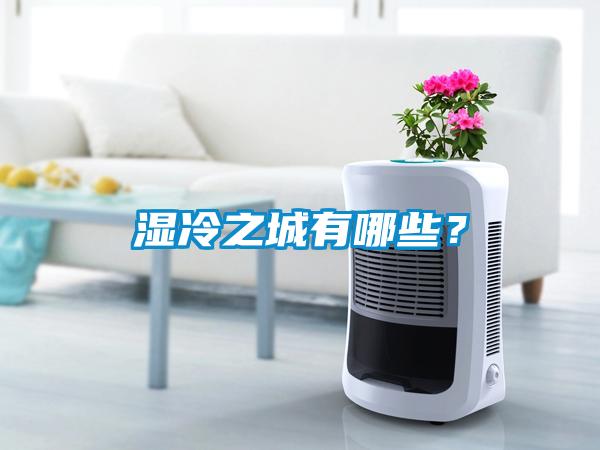 濕冷之城有哪些？