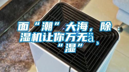 面“潮”大海，除濕機讓你萬無一“濕”
