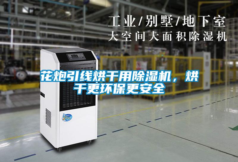 花炮引線烘干用除濕機(jī)，烘干更環(huán)保更安全