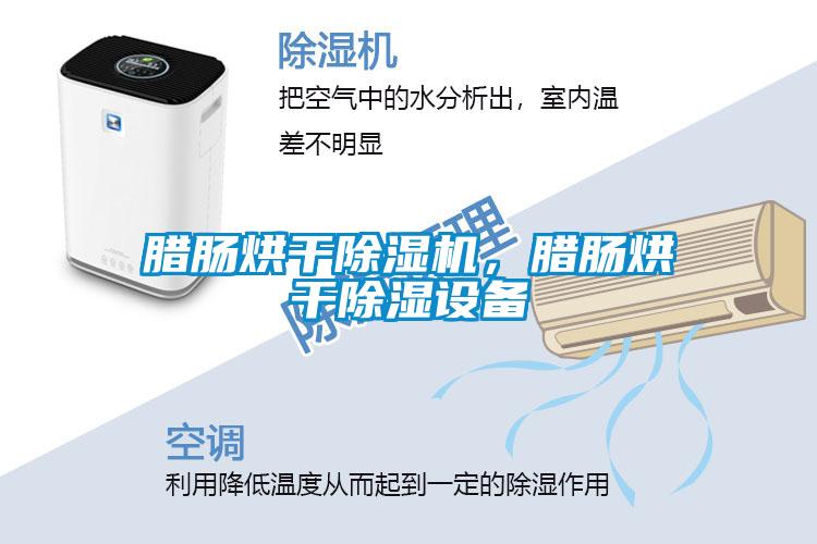臘腸烘干除濕機，臘腸烘干除濕設(shè)備