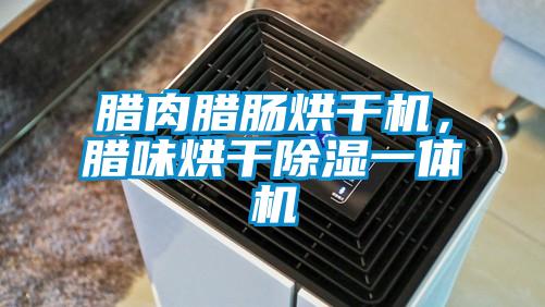 臘肉臘腸烘干機，臘味烘干除濕一體機