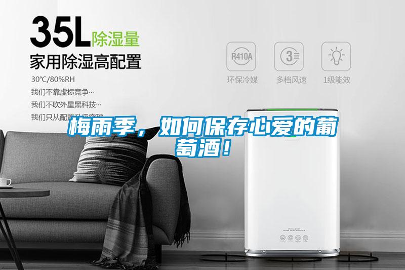 梅雨季，如何保存心愛的葡萄酒！