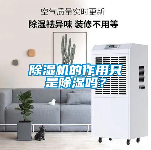 除濕機的作用只是除濕嗎？