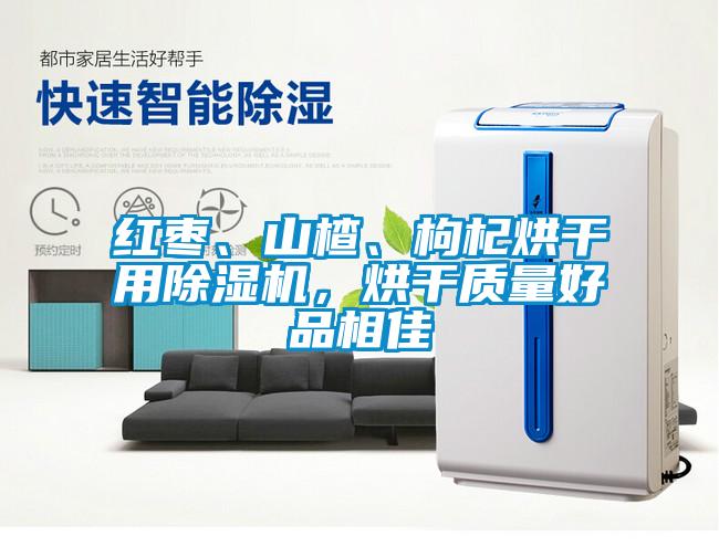 紅棗、山楂、枸杞烘干用除濕機(jī)，烘干質(zhì)量好品相佳