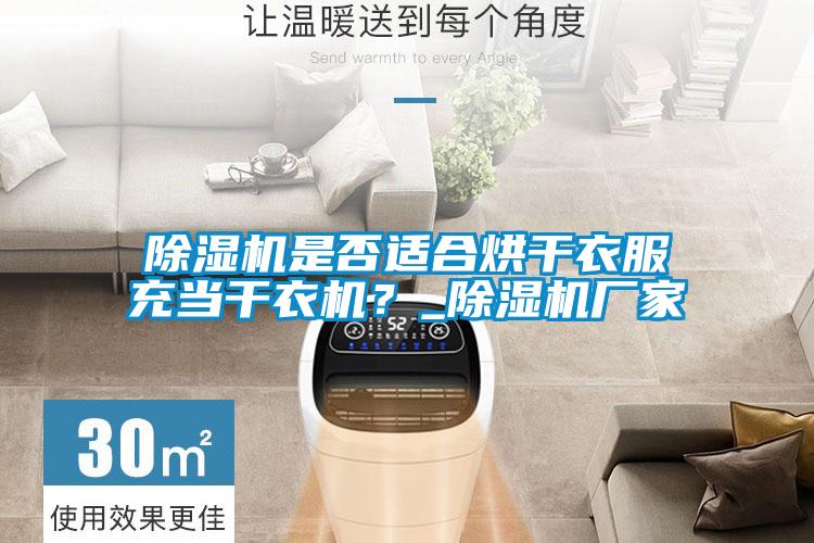 除濕機(jī)是否適合烘干衣服充當(dāng)干衣機(jī)？_除濕機(jī)廠家
