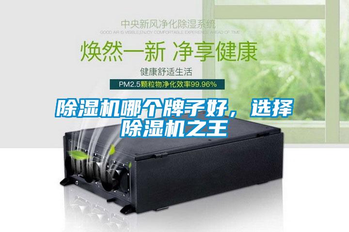 除濕機(jī)哪個(gè)牌子好，選擇除濕機(jī)之王