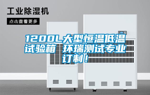 1200L大型恒溫低溫試驗箱 環(huán)瑞測試專業(yè)訂制！