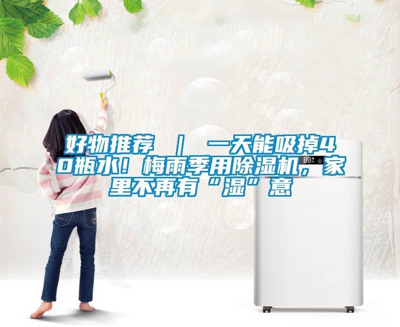 好物推薦 ｜ 一天能吸掉40瓶水！梅雨季用除濕機(jī)，家里不再有“濕”意