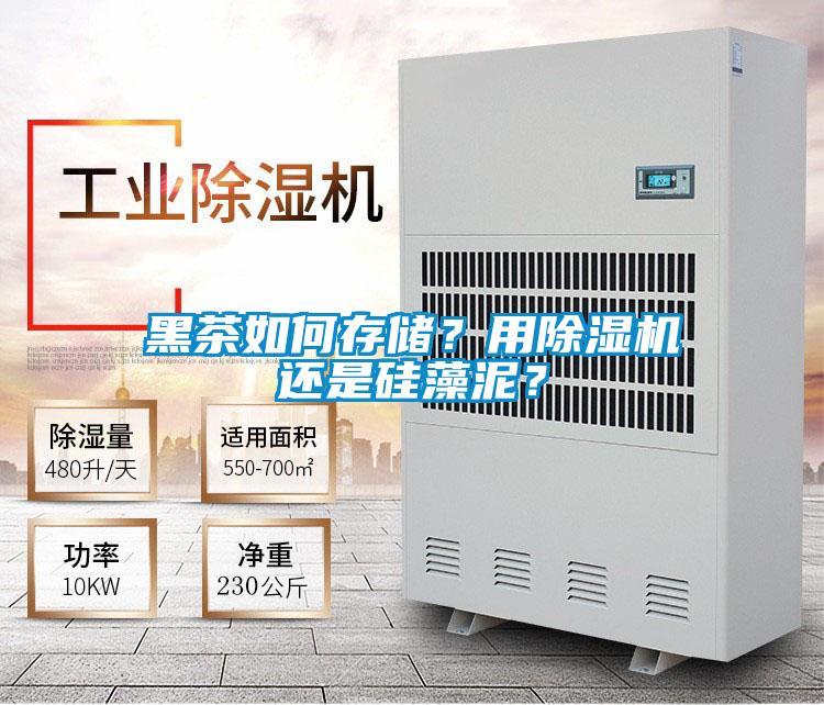 黑茶如何存儲？用除濕機還是硅藻泥？