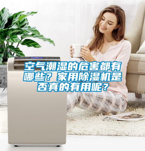 空氣潮濕的危害都有哪些？家用除濕機(jī)是否真的有用呢？