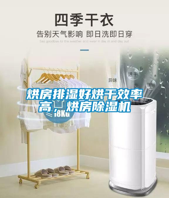 烘房排濕好烘干效率高，烘房除濕機(jī)