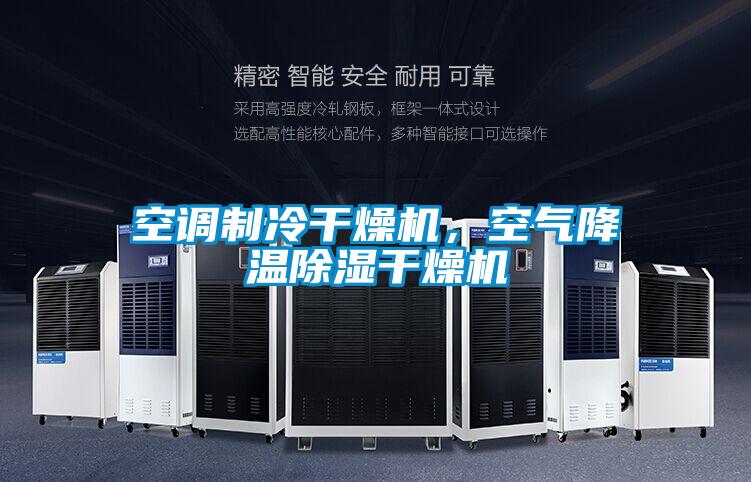 空調(diào)制冷干燥機，空氣降溫除濕干燥機