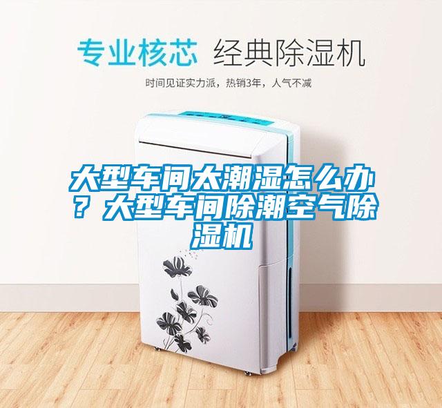 大型車(chē)間太潮濕怎么辦？大型車(chē)間除潮空氣除濕機(jī)