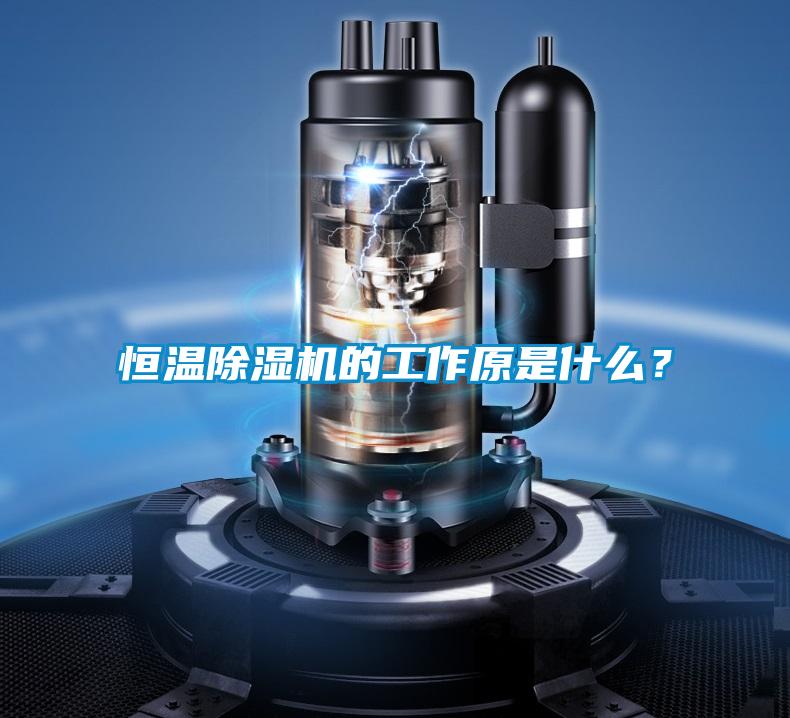 恒溫除濕機(jī)的工作原是什么？