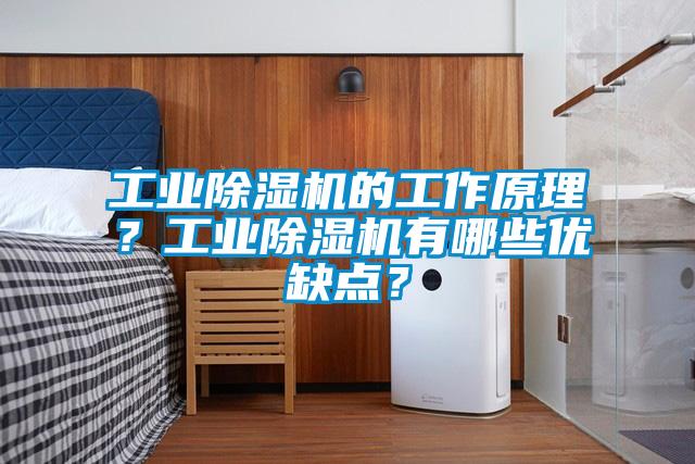 工業(yè)除濕機的工作原理？工業(yè)除濕機有哪些優(yōu)缺點？
