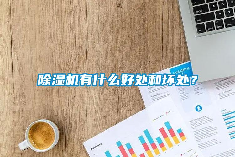 除濕機(jī)有什么好處和壞處？
