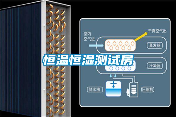恒溫恒濕測(cè)試房
