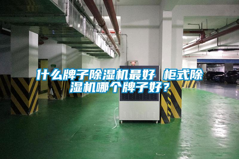 什么牌子除濕機(jī)最好 柜式除濕機(jī)哪個牌子好？