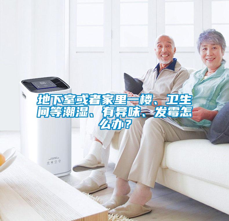 地下室或者家里一樓、衛(wèi)生間等潮濕、有異味、發(fā)霉怎么辦？