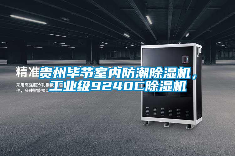 貴州畢節(jié)室內(nèi)防潮除濕機(jī)，工業(yè)級(jí)9240C除濕機(jī)
