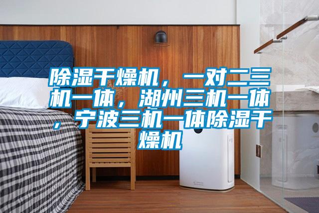 除濕干燥機，一對二三機一體，湖州三機一體，寧波三機一體除濕干燥機