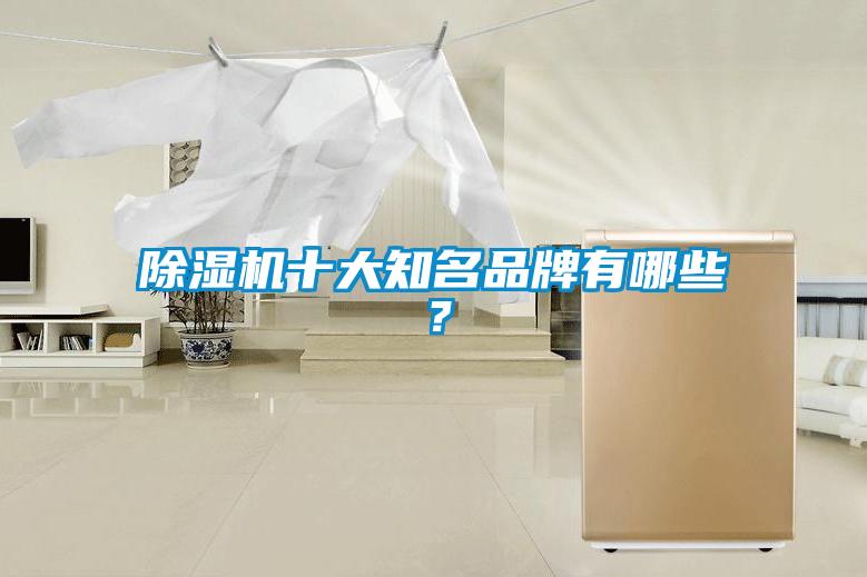 除濕機十大知名品牌有哪些？