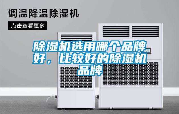 除濕機選用哪個品牌好，比較好的除濕機品牌