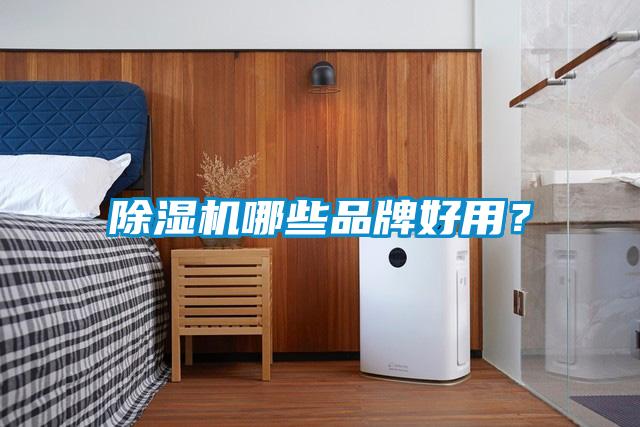 除濕機(jī)哪些品牌好用？