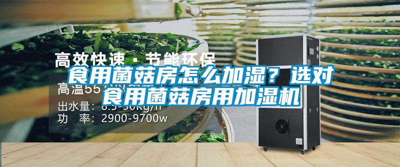 食用菌菇房怎么加濕？選對食用菌菇房用加濕機