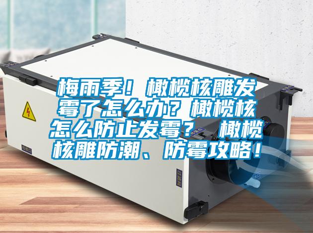 梅雨季！橄欖核雕發(fā)霉了怎么辦？橄欖核怎么防止發(fā)霉？ 橄欖核雕防潮、防霉攻略！
