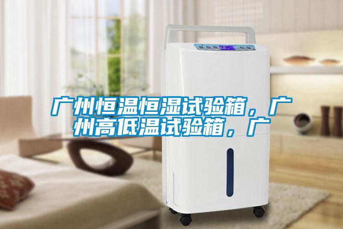 廣州恒溫恒濕試驗箱，廣州高低溫試驗箱，廣