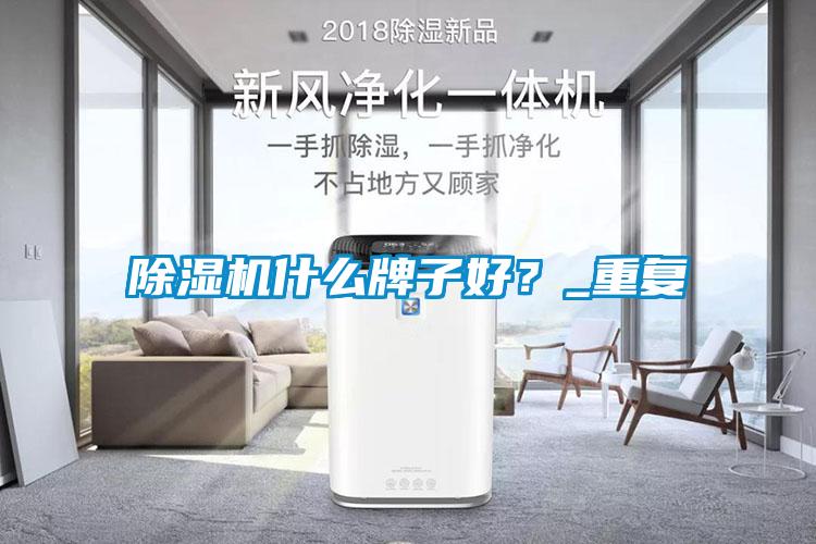 除濕機(jī)什么牌子好？_重復(fù)