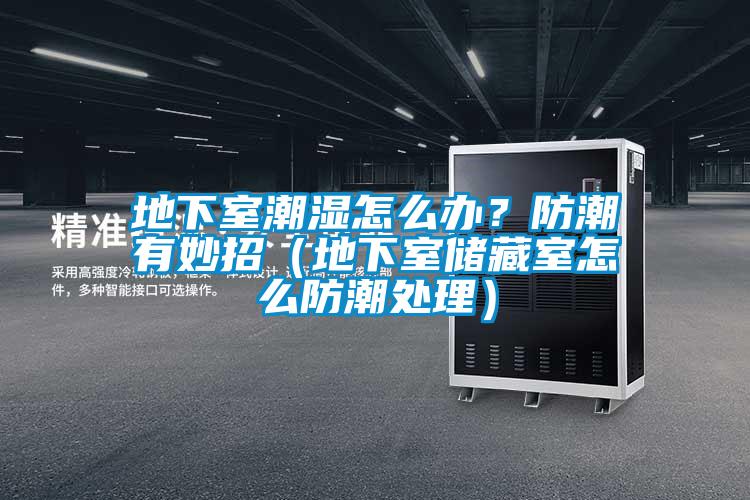 地下室潮濕怎么辦？防潮有妙招（地下室儲藏室怎么防潮處理）