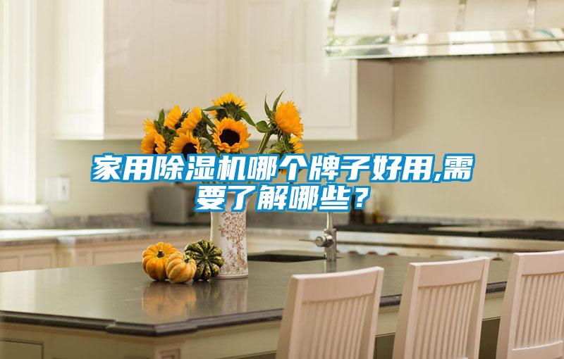 家用除濕機(jī)哪個(gè)牌子好用,需要了解哪些？