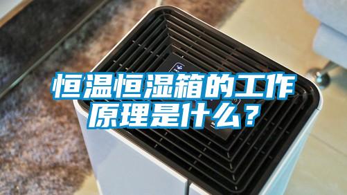 恒溫恒濕箱的工作原理是什么？