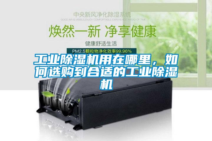 工業(yè)除濕機(jī)用在哪里，如何選購到合適的工業(yè)除濕機(jī)