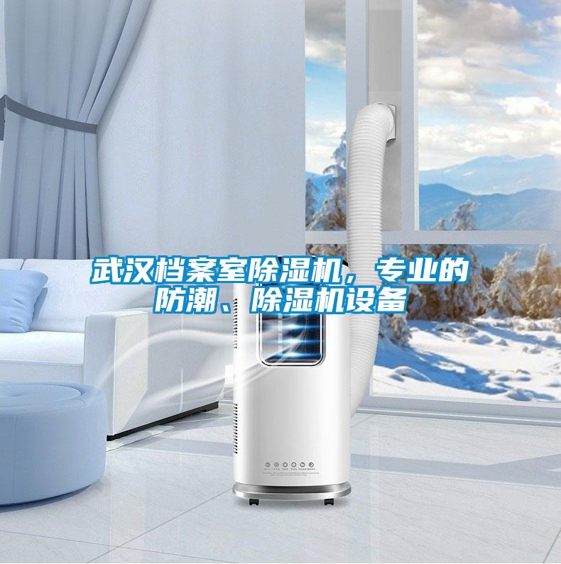 武漢檔案室除濕機，專業(yè)的防潮、除濕機設(shè)備