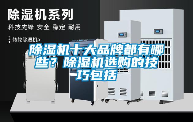 除濕機(jī)十大品牌都有哪些？除濕機(jī)選購的技巧包括