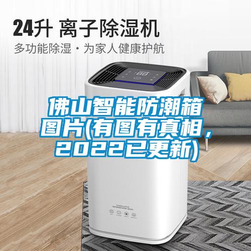 佛山智能防潮箱圖片(有圖有真相，2022已更新)