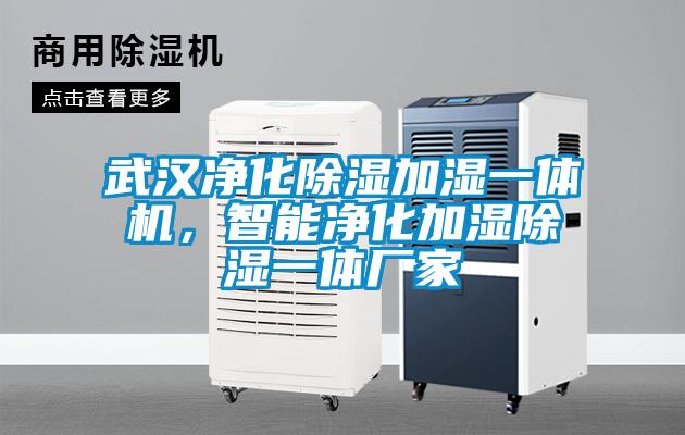 武漢凈化除濕加濕一體機(jī)，智能凈化加濕除濕一體廠家