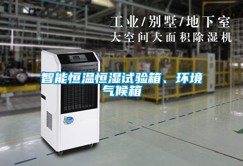 智能恒溫恒濕試驗(yàn)箱、環(huán)境氣候箱