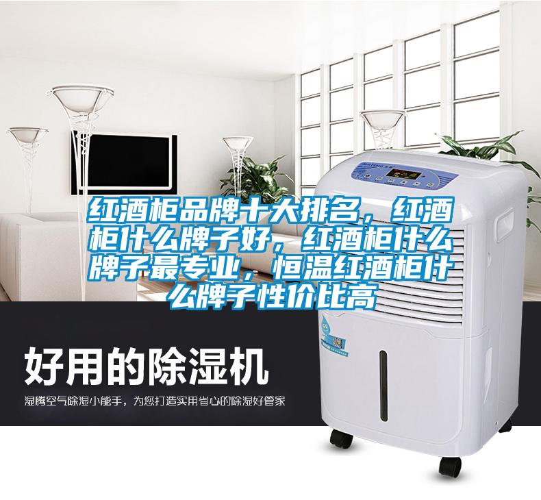 紅酒柜品牌十大排名，紅酒柜什么牌子好，紅酒柜什么牌子最專業(yè)，恒溫紅酒柜什么牌子性價比高