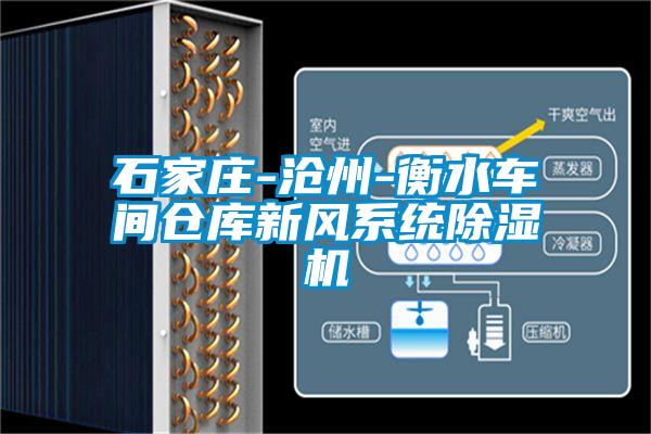 石家莊-滄州-衡水車(chē)間倉(cāng)庫(kù)新風(fēng)系統(tǒng)除濕機(jī)