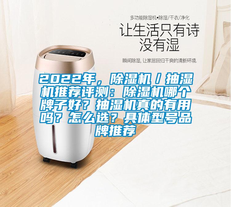 2022年，除濕機(jī)／抽濕機(jī)推薦評(píng)測(cè)：除濕機(jī)哪個(gè)牌子好？抽濕機(jī)真的有用嗎？怎么選？具體型號(hào)品牌推薦