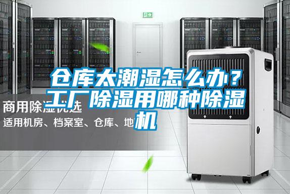 倉庫太潮濕怎么辦？工廠除濕用哪種除濕機
