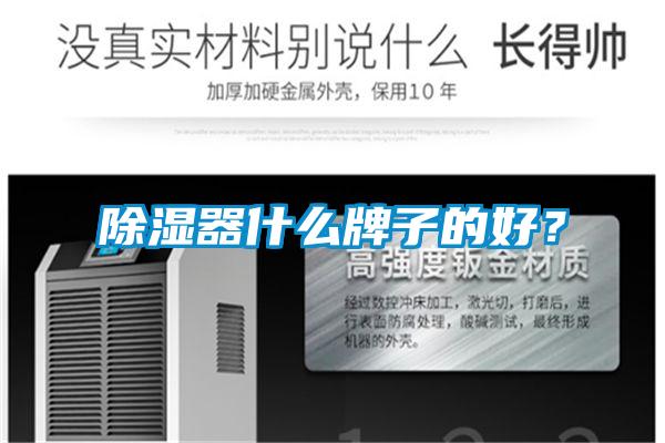 除濕器什么牌子的好？
